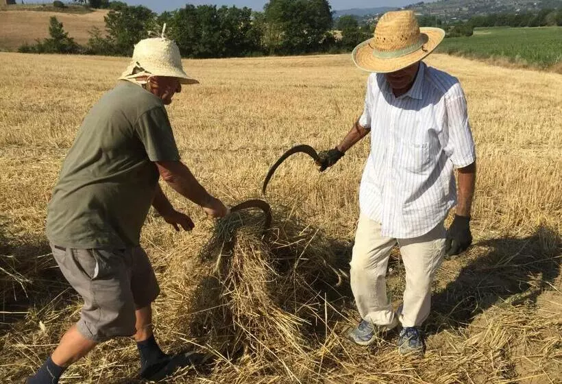 ホテル Agriturismo Fattoria Santa Vittoria