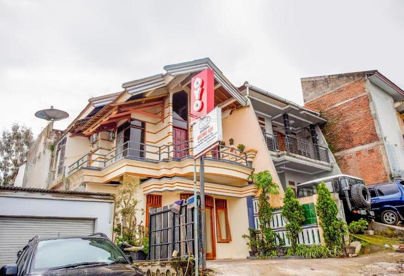 Hotel Oyo 3004 Penginapan Bromo Adi