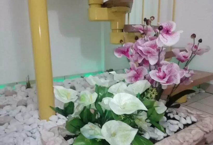 B&b Abitazione Sandra