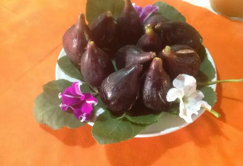 B&b Monte Prama