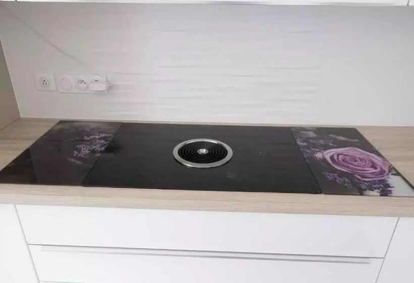 ベッドアンドブレックファースト Sasha S Place   Appartement De Luxe   Hypercentre