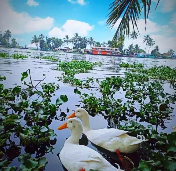 ベッドアンドブレックファースト The Lake Paradise Boutique Resort