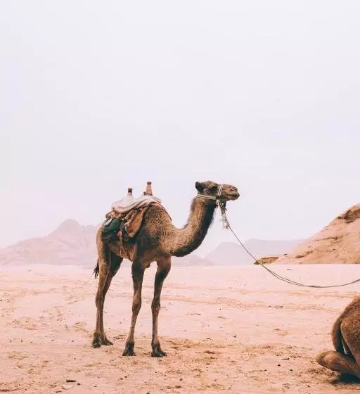 هتل Khaled's Camp