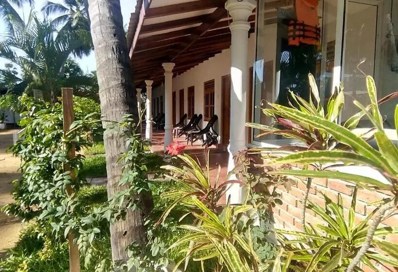 پانسیون Sea Shadow