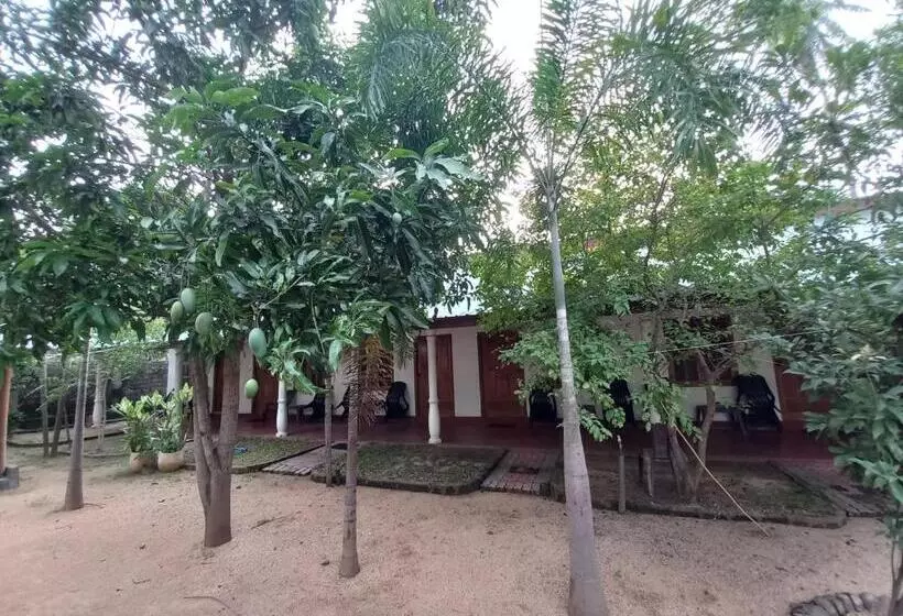 پانسیون Sea Shadow