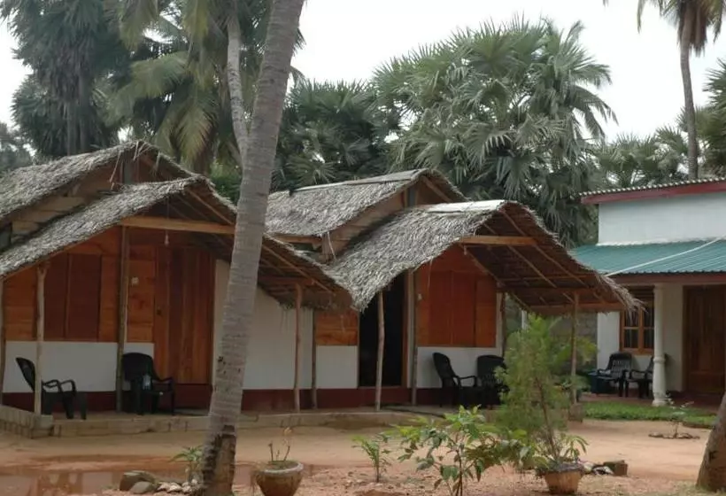 پانسیون Sea Shadow