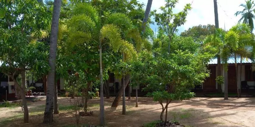 پانسیون Sea Shadow