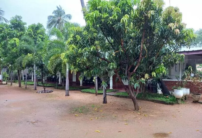 پانسیون Sea Shadow