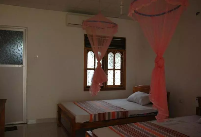 پانسیون Sea Shadow