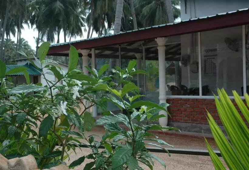 پانسیون Sea Shadow