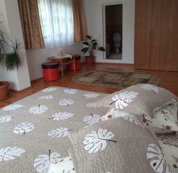 פנסיון Vila Bogdan