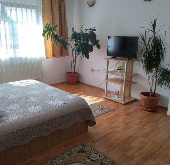 פנסיון Vila Bogdan