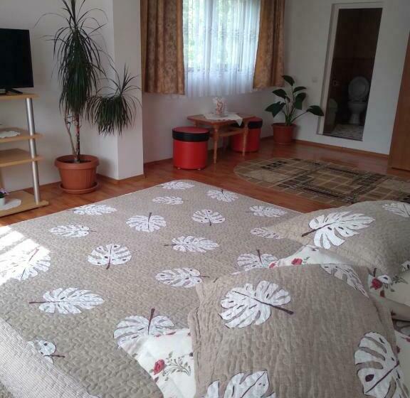 פנסיון Vila Bogdan