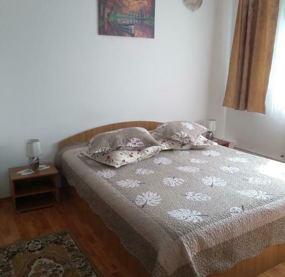 פנסיון Vila Bogdan