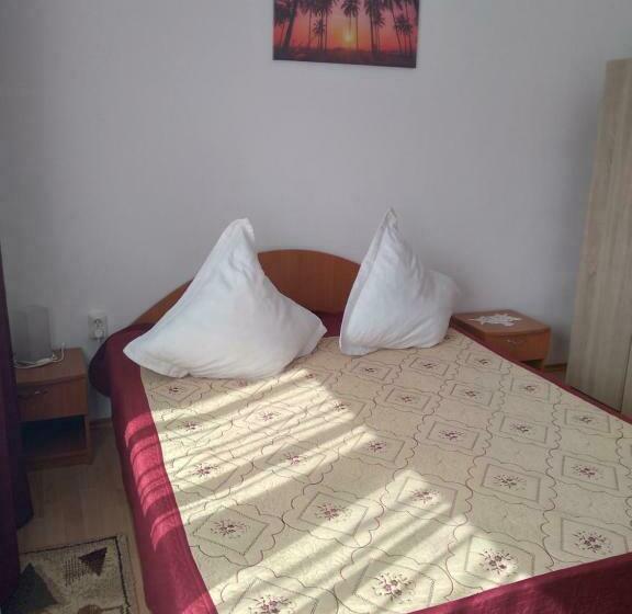 פנסיון Vila Bogdan