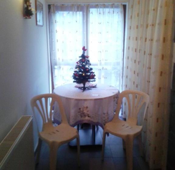 Pensiunea Pinul Negru