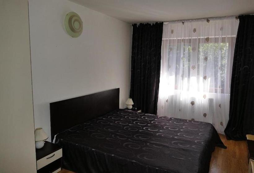 Pensiunea Pinul Negru