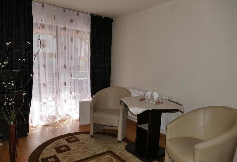 Pensiunea Pinul Negru