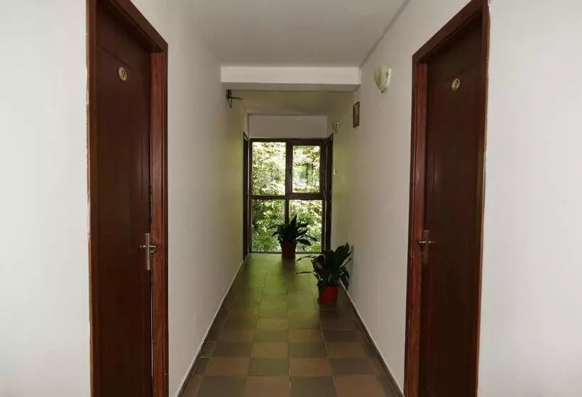 Pensiunea Pinul Negru
