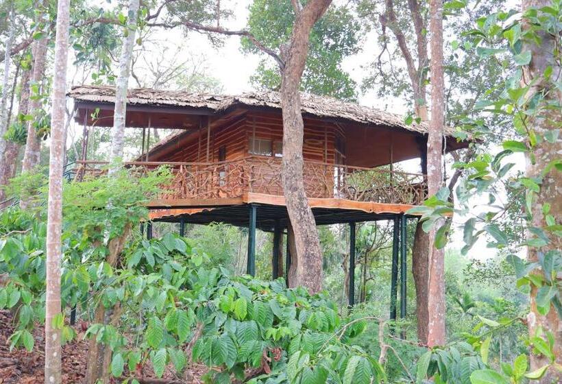 Tranquil Resort Blusalzz Collection, Wayanad Kerala