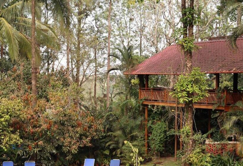 Tranquil Resort Blusalzz Collection, Wayanad Kerala
