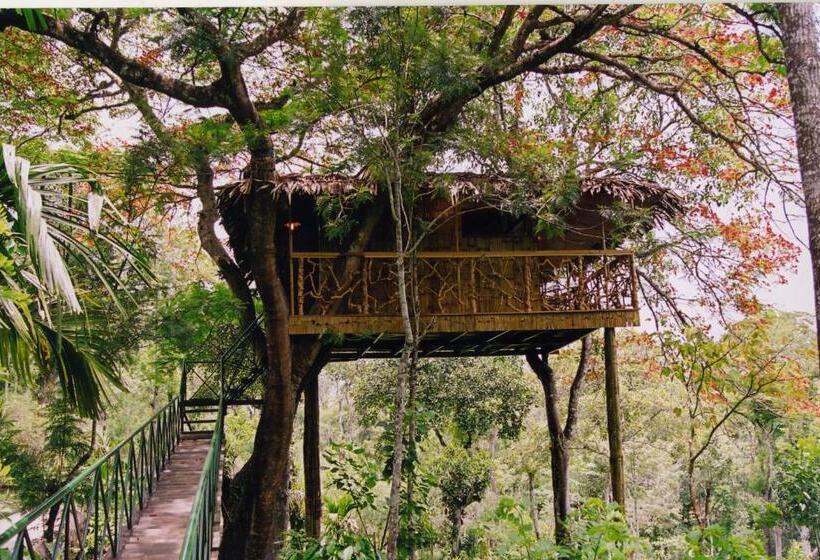 Tranquil Resort Blusalzz Collection, Wayanad Kerala