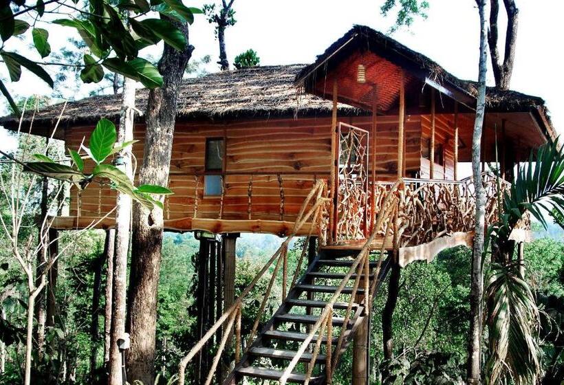 Tranquil Resort Blusalzz Collection, Wayanad Kerala