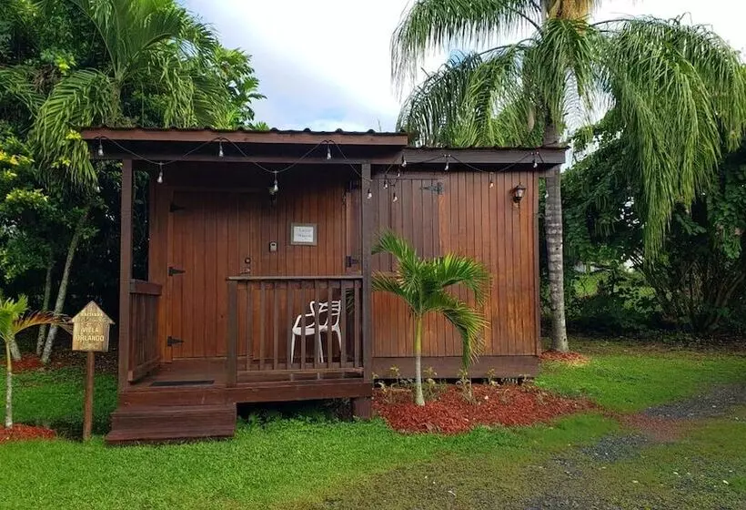 هتل Hacienda El Jibarito