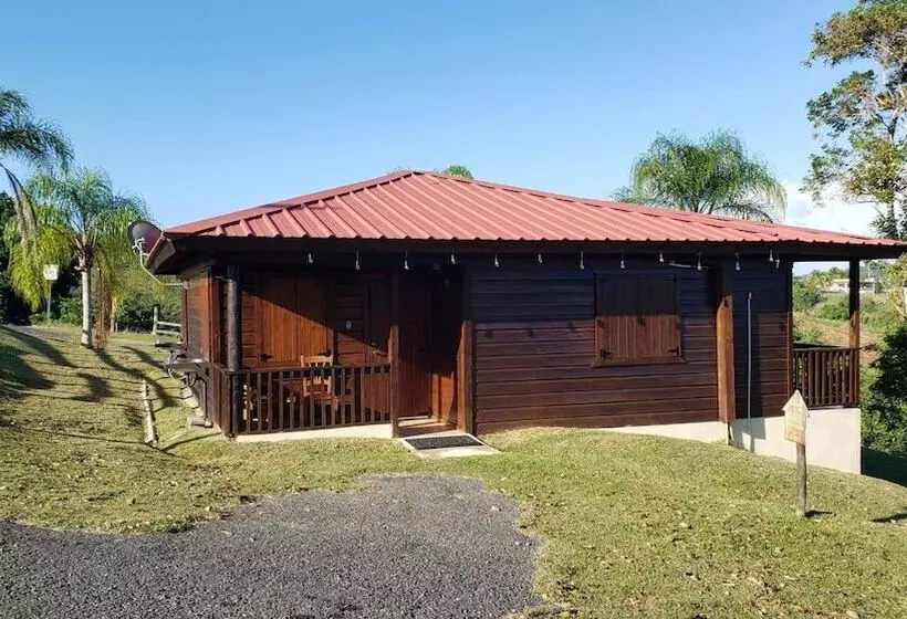 هتل Hacienda El Jibarito