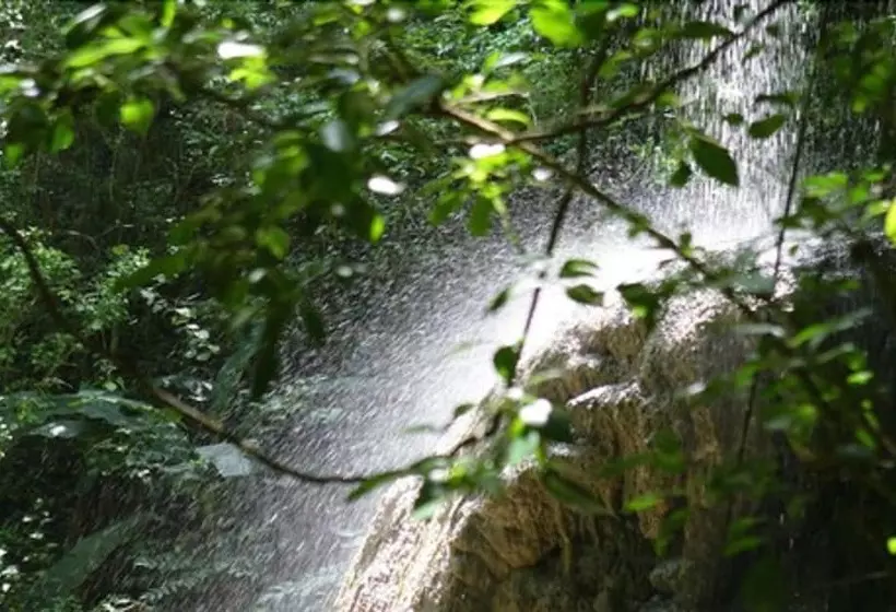 هتل Hacienda El Jibarito