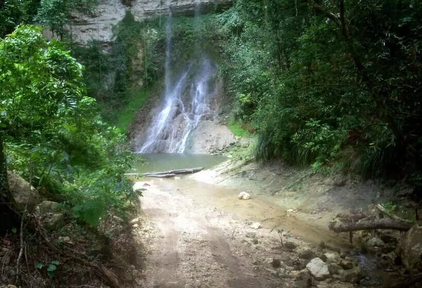 هتل Hacienda El Jibarito