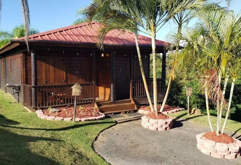 هتل Hacienda El Jibarito