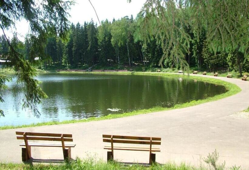 Park Hotel Tsarsky Les