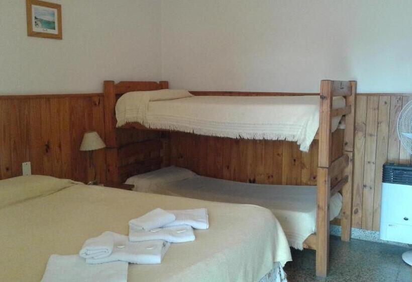 Общежитие Amanitas Posada