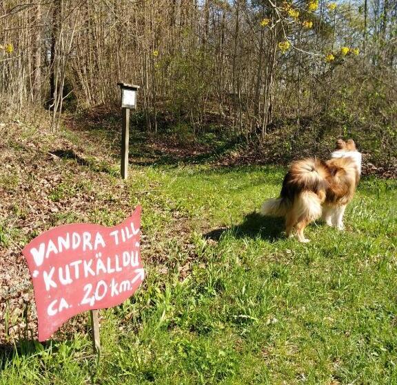 Gotland Of Sweden Bed & Breakfast