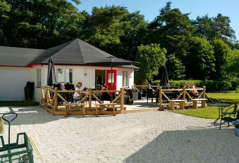 Gotland Of Sweden Bed & Breakfast