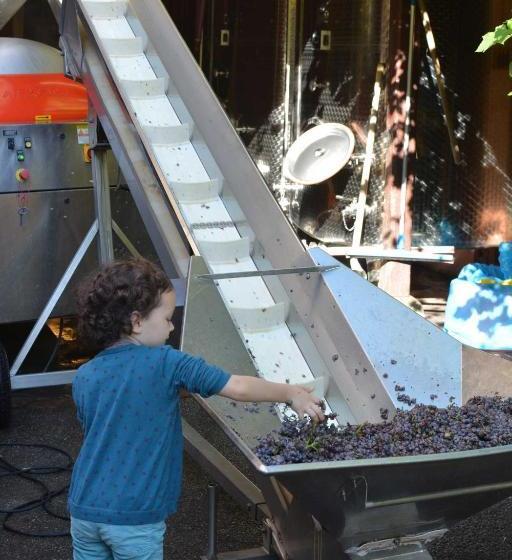 Chez Cecile Bed And Breakfast Chez Le Vigneron