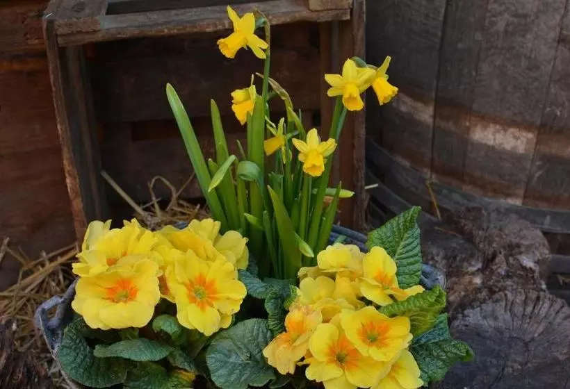 Chez Cecile Bed And Breakfast Chez Le Vigneron