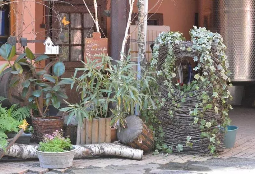 Chez Cecile Bed And Breakfast Chez Le Vigneron