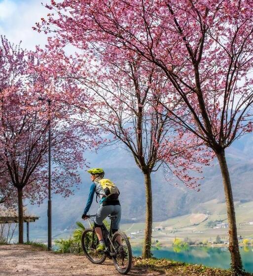 B&b Unterhabsbergerhof