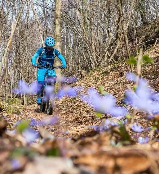 B&b Unterhabsbergerhof