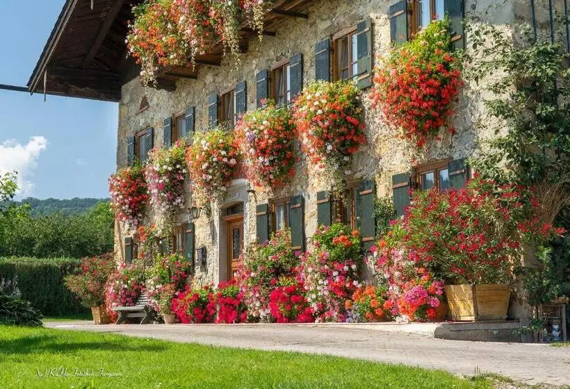 ホテル Bachtelhuber Hof