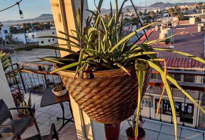 Bajalife Hotel Boutique