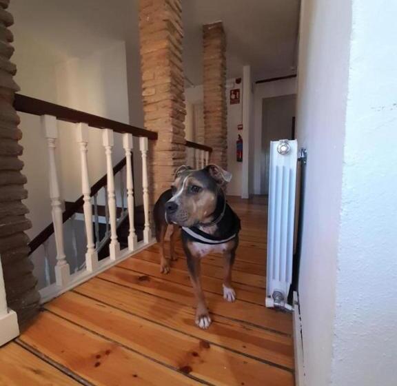 فندق Hostería Señorío De Bizkaia