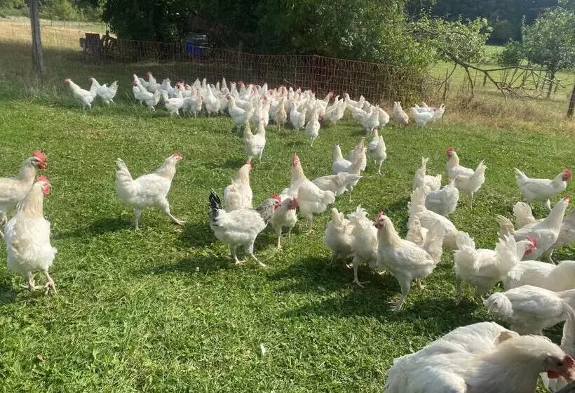 Lindengut Biohotel & Bio Herberge