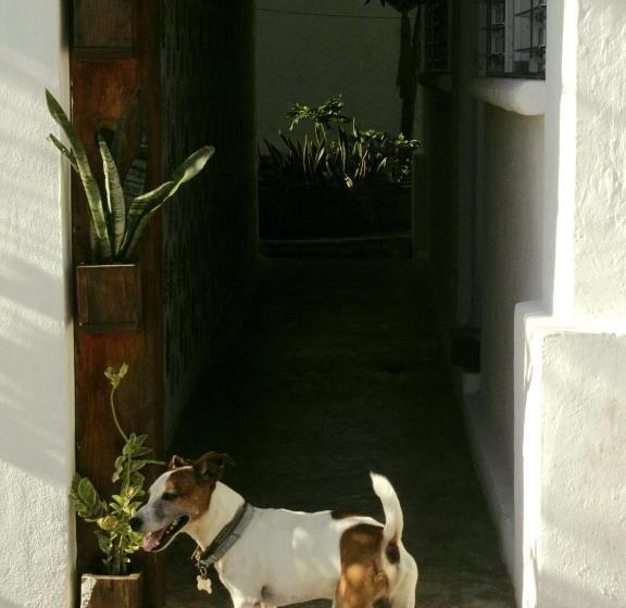 Отель Tropic Bacalar