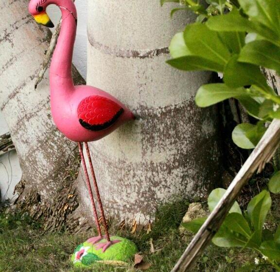 Отель Tropic Bacalar