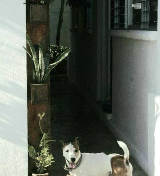 Отель Tropic Bacalar