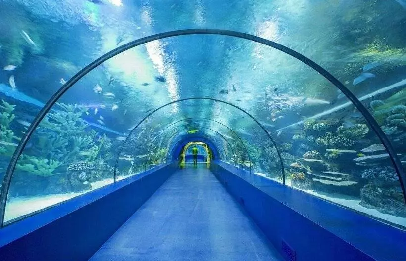 Letstay Sweet Home Yellow