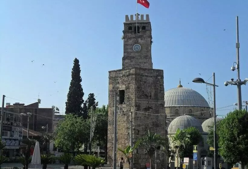 Letstay Sweet Home Yellow